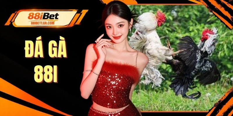 Đá Gà 88I - Trực Tiếp 500 Trận Siêu Kinh Điển Mỗi Ngày